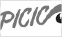 Picica