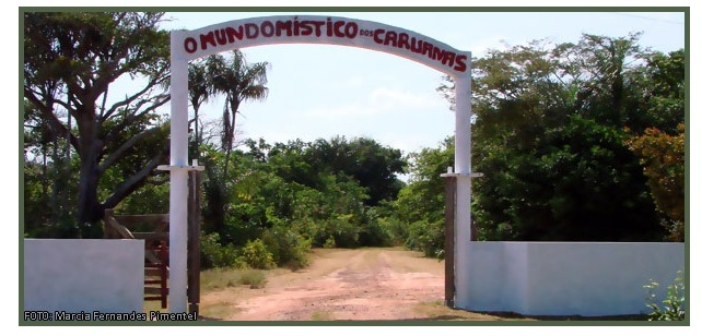 Instituição Caruanas do Marajó Cultura e Ecologia - A INSTITUIÇÃO CARUANAS