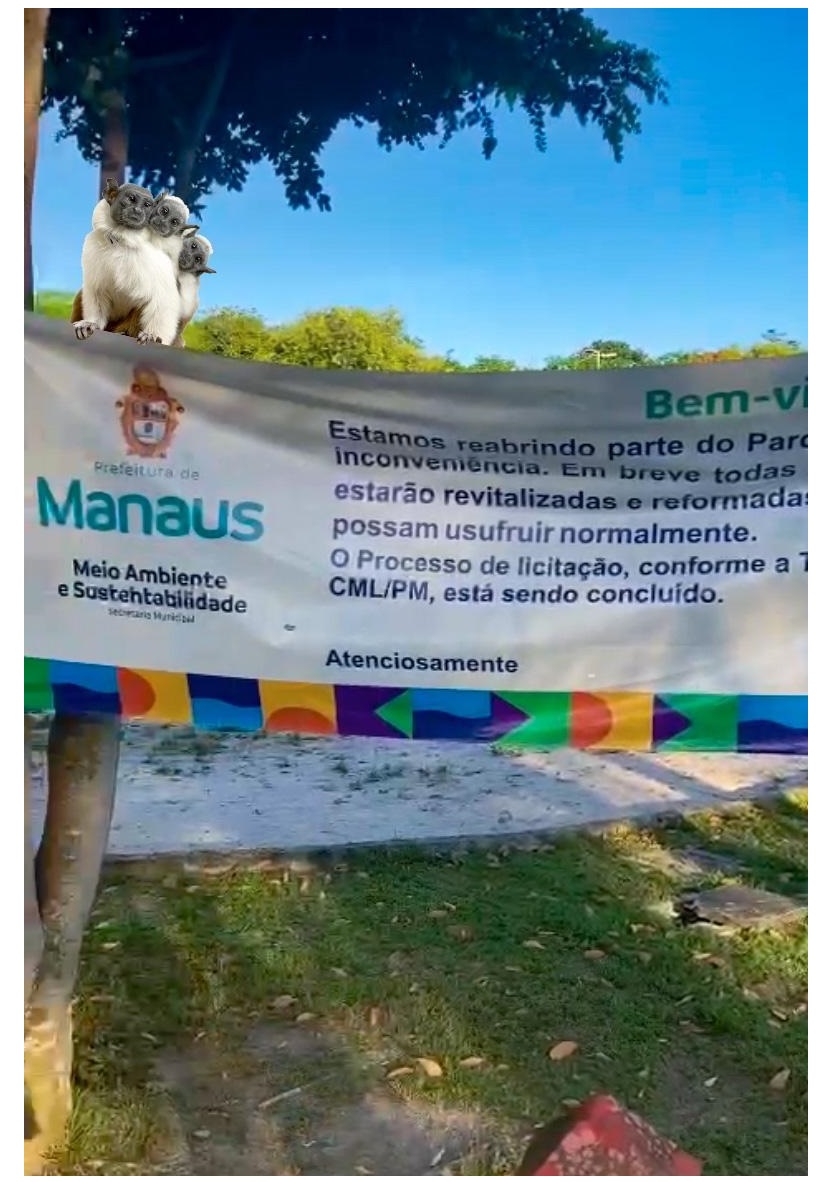 Rondônia e Acre ricos em Natureza, vistos pela Formiga Tá na natureza se  sentir livre