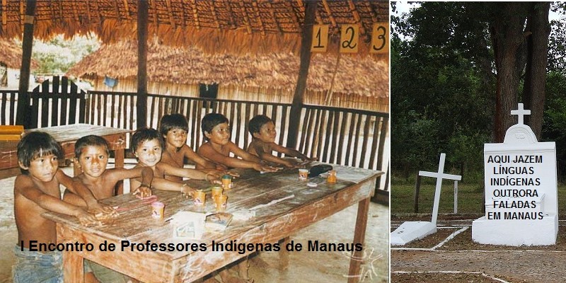 Site Taquiprati - Dom e Bruno: Amazônia, sua linda!